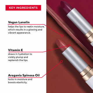 Mirabella Beauty's Sealed With A Kiss Lipstick Key Ingredients, like Vegan Lanolin, Vitamin E & Aragania Spinosa Oil, described in detail on white.